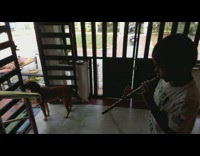 Kid play flute brown dog howl gate