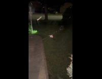 Moth placed on web spider wrapped it