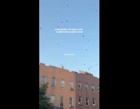 Man stands at rooftop with pigeon flock