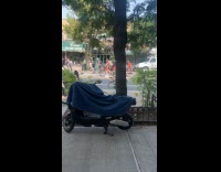 Group of roller skaters pass by on street