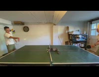 Two guys ping pong cat on table 