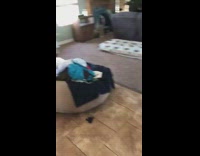 Guy looks at water damage flood house 