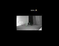 Collab Clips MPUGC2 - Two Cats started a play fight caught on CCTV
