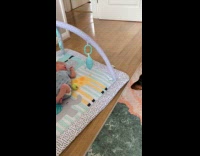 Dog angry at newborn baby not throwing ball