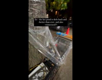 Bed stuy koi pond back on street