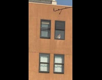 Two guys white top dance building window