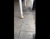 Submitter films pink dildo on trash bin