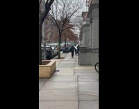 person carries toilet paper on head without hands