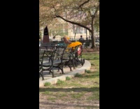 Person wearing strange costume sitting at park bench