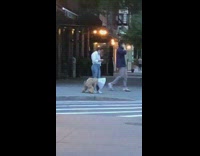 Girl brown dog white cone humps leg