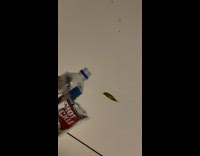 Guy accidentally pours pickle juice on friends car