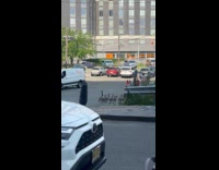 Woman and two kids run from geese