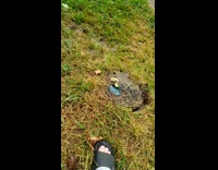 Man Steps on Grass Bubble and Expels Water