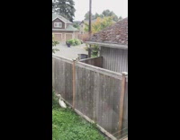 Two brown squirrels wood fence duck decoration 