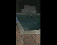 Collab Kale Salad IG - Dog jumps in swimming pool with man 