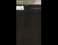 Beer liquor bottles back of white truck 