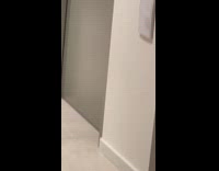 Puppy gets excited with own reflection mirror