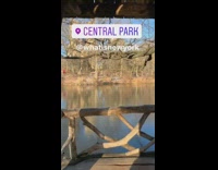 Wine beer bottle stuck upside down in frozen lake in Central Park