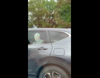 King Charles in car window at parkway