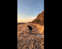 Collab ClipsIG - Dog falls hard on sand