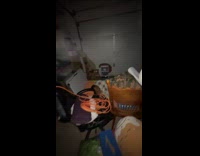 Guy sleeping in the garage 