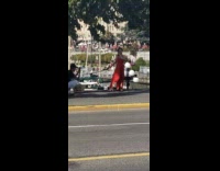 Red dress girl white dog sidewalk boats 