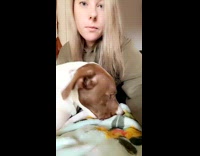 Dog loves getting a kiss from owner