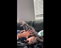 Cat sits on hoomans face while sleeping