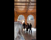 Collab winy - Crowd enjoys live band singing my girl 