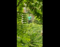 Green shirt guy bush trees plants sunglasses 