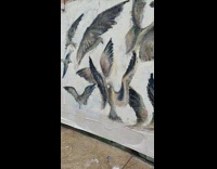 Painting of grey brown birds on wall 