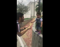 little girl falls back into bushes