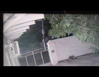 Weird form like tail caught on CCTV