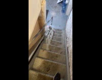 Man shows laundry room sees bird inside