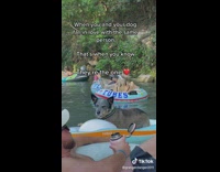 Dog falls in love with man who is the one