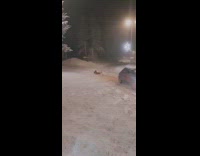 Car driving in the snow while dragging a guy tied by a rope on a sled 

