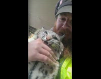 Guy holding grey bob cat