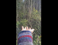 Compilation bird lands on palm of girl 