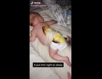 Baby sleeps with flopping fish toy on back 