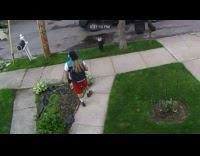 Delivery driver hisses at dog