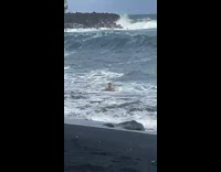 Guy on beach in huge waves walks out safely 