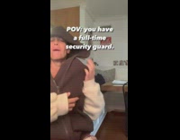 Dog is full time security guard