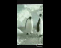 Collab BitchIG2 - Guy glasses blue shirt backpack