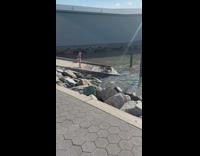 Dog on shore ramp bark at woman