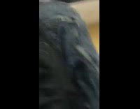 Guy catches trash in pants