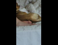 Big toe looks like something else 