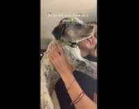 Collab BitchMP - Girl holding high dog