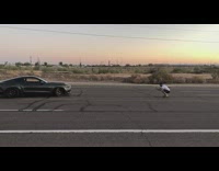 Man take picture of black car middle of road