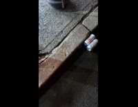 Two cans float on street curb siren