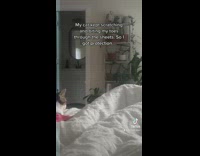 Cat scratches and bites mans toes under the sheets